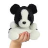 Plüsch Hund, Collie Brodie, schwarz-weiß, Palm Pals, 13cm, Aurora