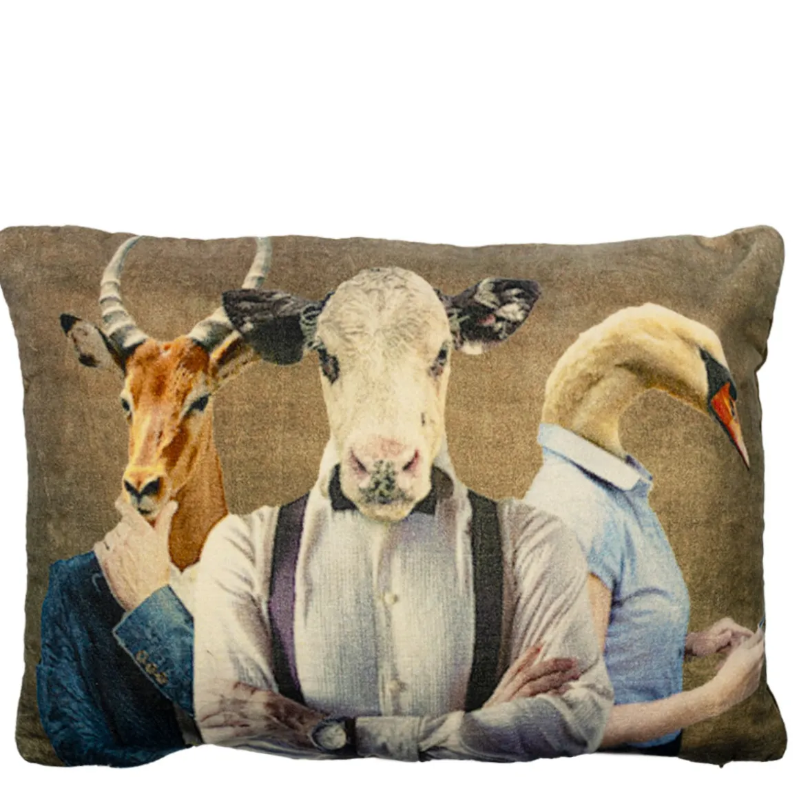 Samt Kissen Tiere, Kissen mit Kuh, Schwan, Antilope, 30x60cm, Mars & More