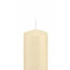 Wiedemann Flachkopf-Kerze in Cello 120x60 Bisquit
