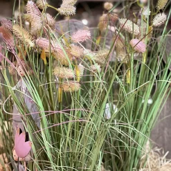 Zittergras rosa getopft 78cm