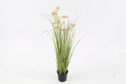 Zittergras rosa getopft 60cm